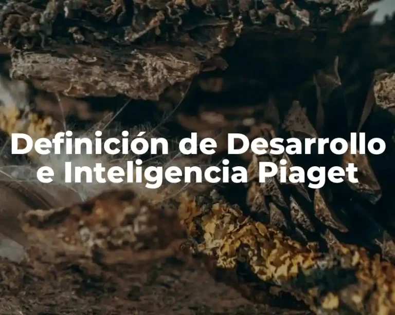 Definición de Desarrollo e Inteligencia Piaget