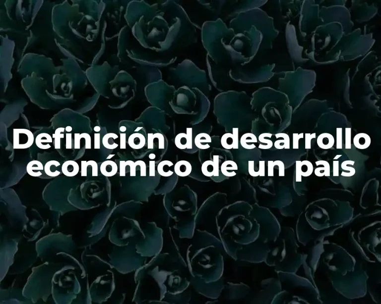 Definición de desarrollo económico de un país