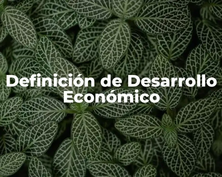Definición de Desarrollo Económico