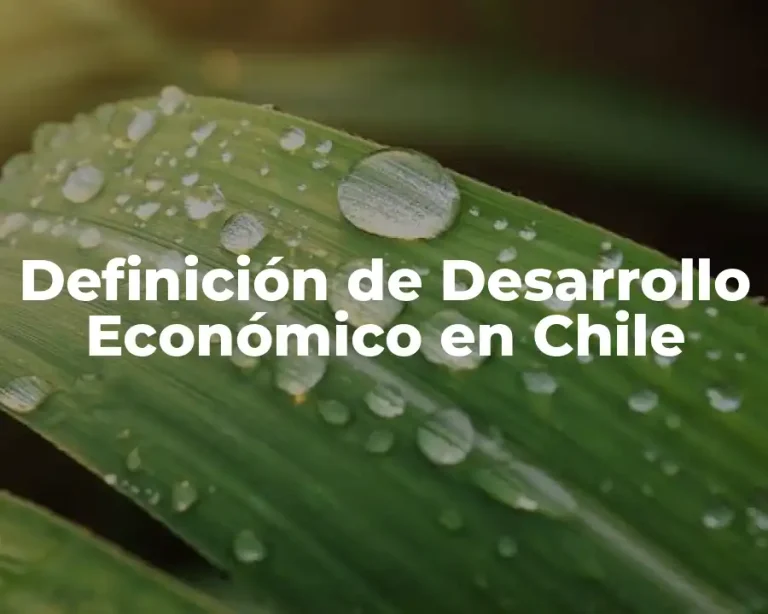 Definición de Desarrollo Económico en Chile