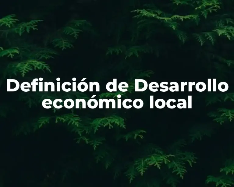 Definición de Desarrollo económico local