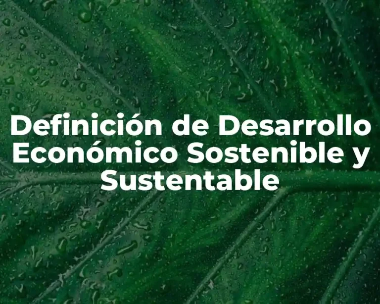 Definición de Desarrollo Económico Sostenible y Sustentable