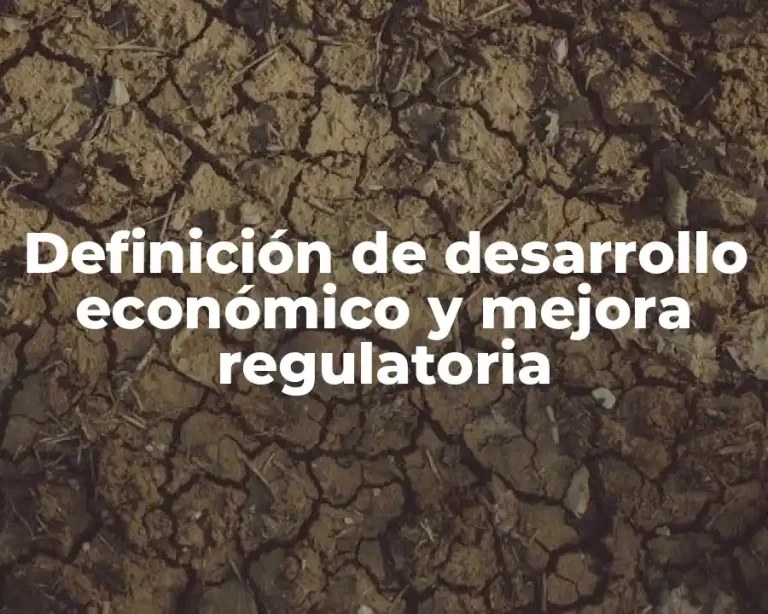 Definición de desarrollo económico y mejora regulatoria