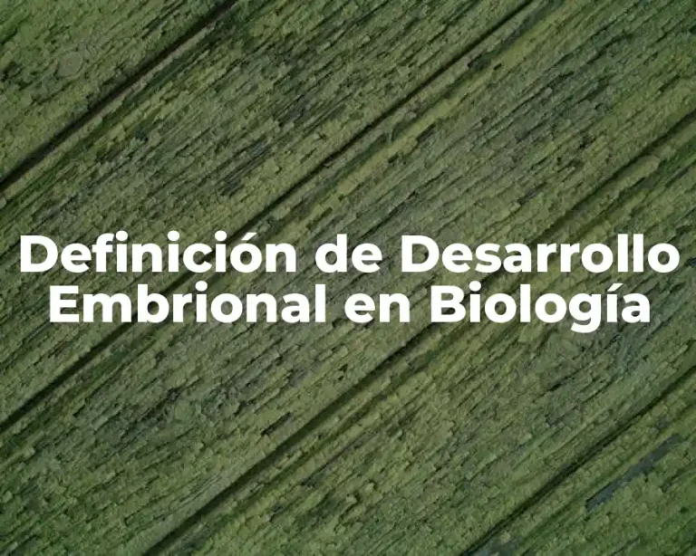 Definición de Desarrollo Embrional en Biología