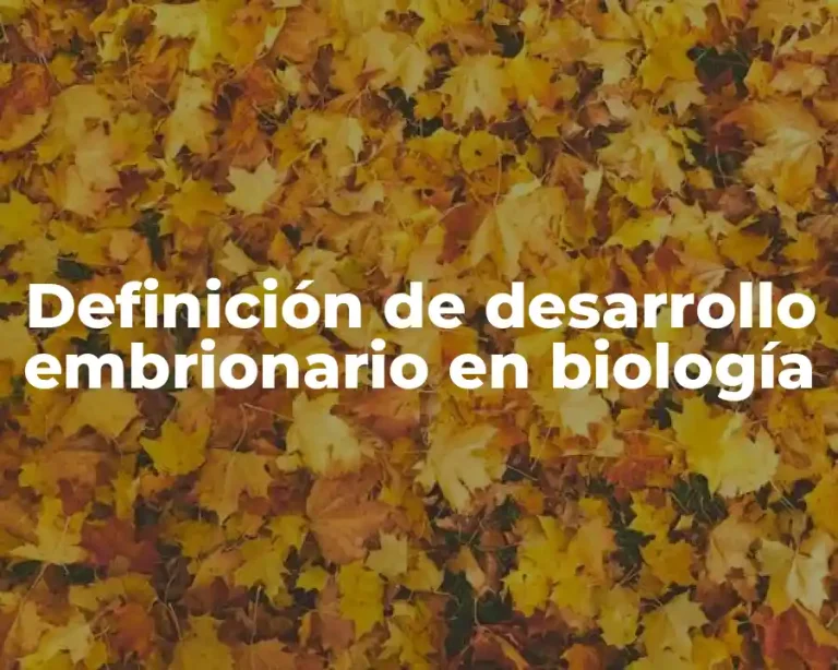 Definición de desarrollo embrionario en biología