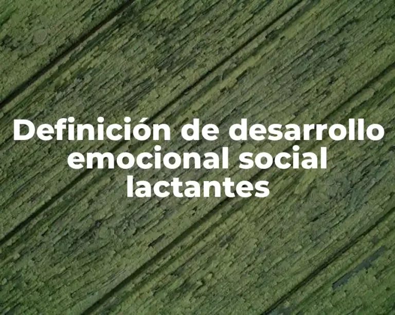 Definición de desarrollo emocional social lactantes