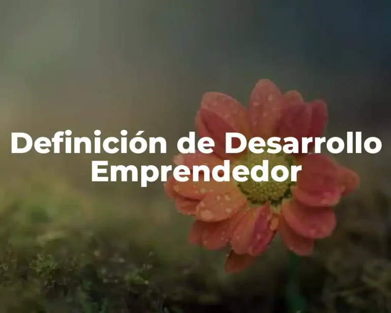 Definición de Desarrollo Emprendedor