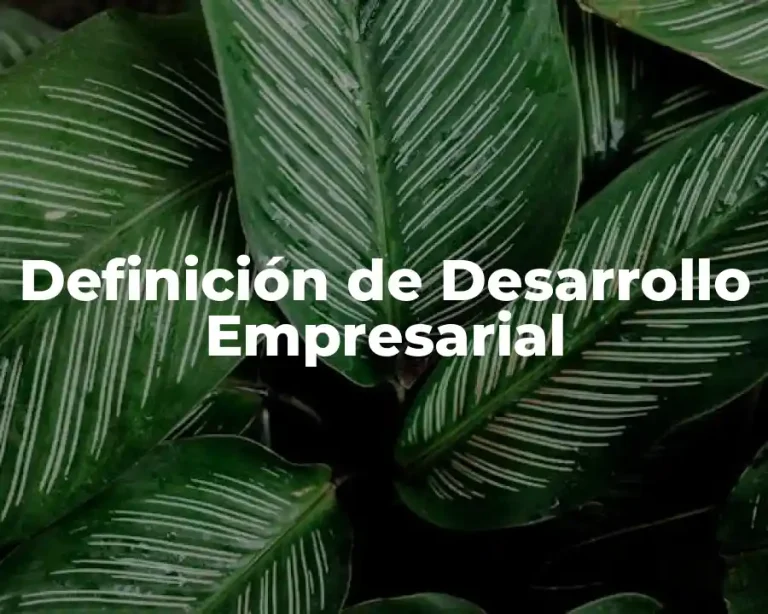 Definición de Desarrollo Empresarial