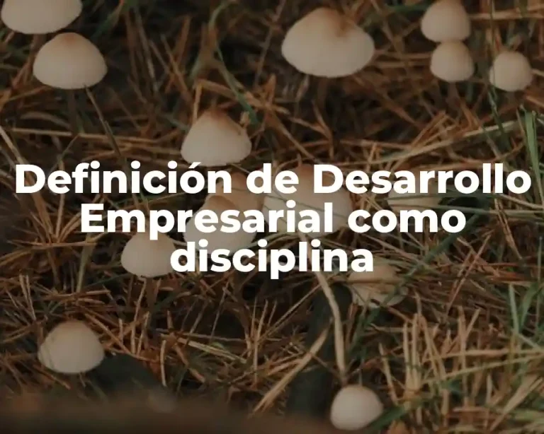 Definición de Desarrollo Empresarial como disciplina