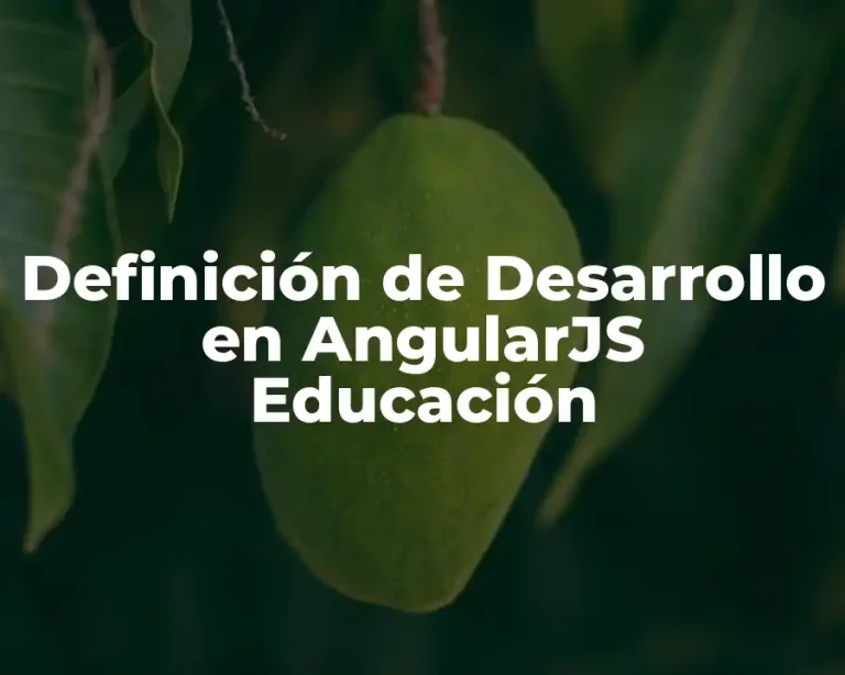 Definición de Desarrollo en AngularJS Educación