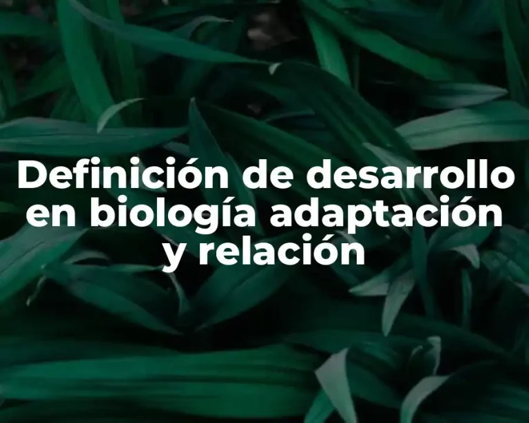Definición de desarrollo en biología adaptación y relación