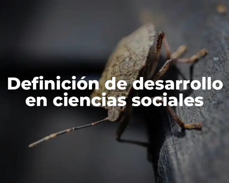Definición de desarrollo en ciencias sociales