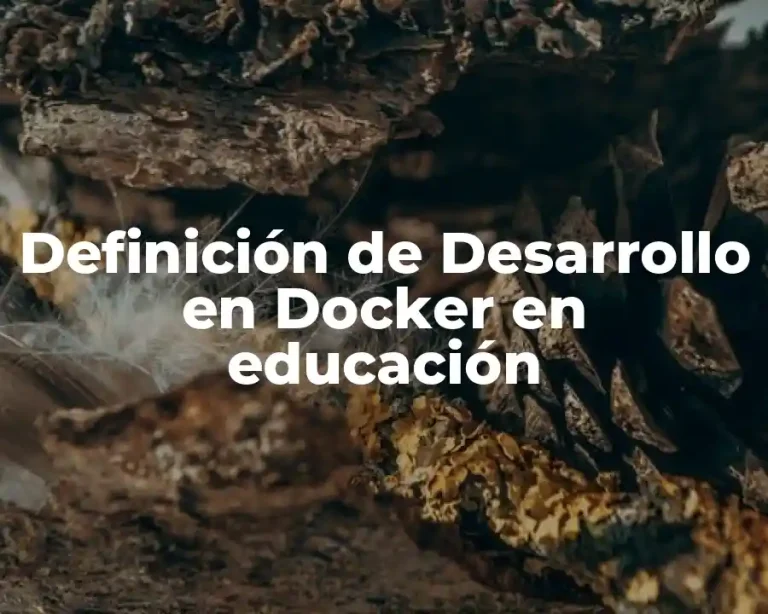 Definición de Desarrollo en Docker en educación