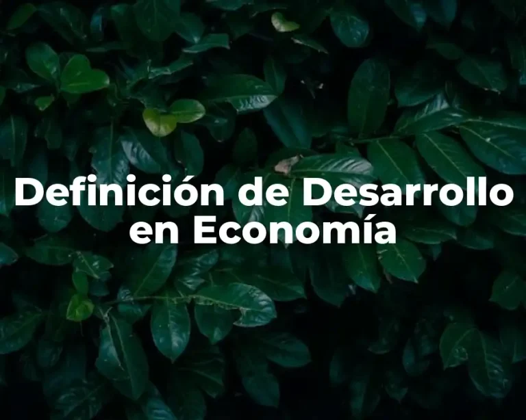 Definición de Desarrollo en Economía