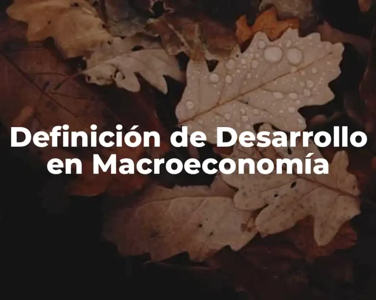 Definición de Desarrollo en Macroeconomía