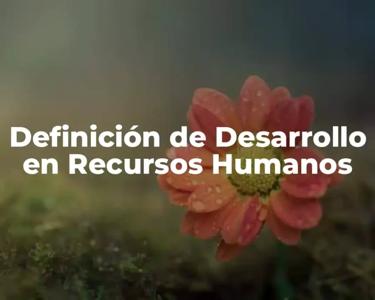 Definición de Desarrollo en Recursos Humanos