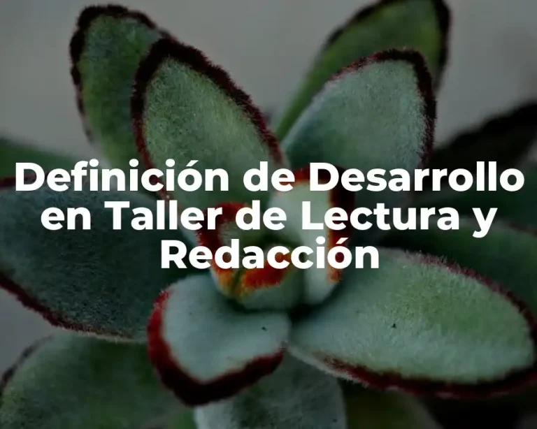 Definición de Desarrollo en Taller de Lectura y Redacción
