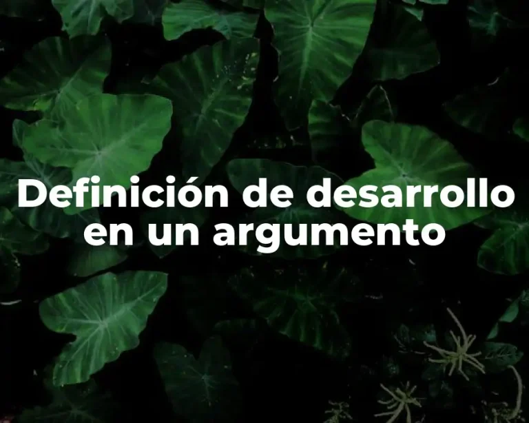 Definición de desarrollo en un argumento