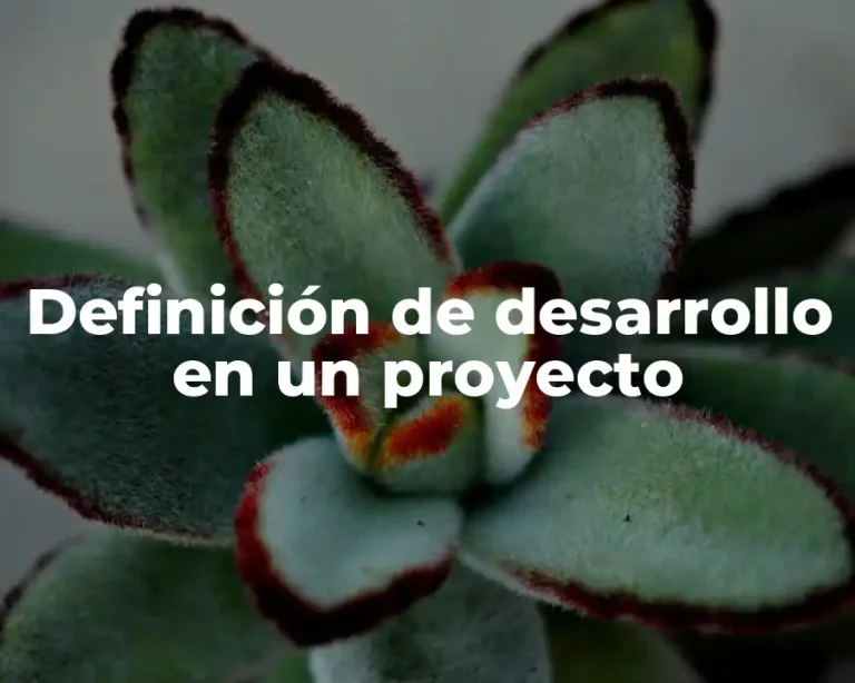 Definición de desarrollo en un proyecto