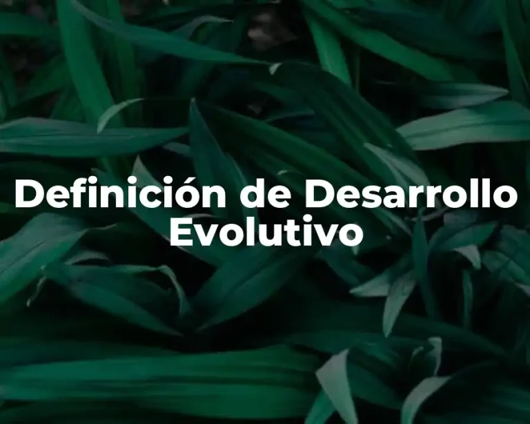 Definición de Desarrollo Evolutivo