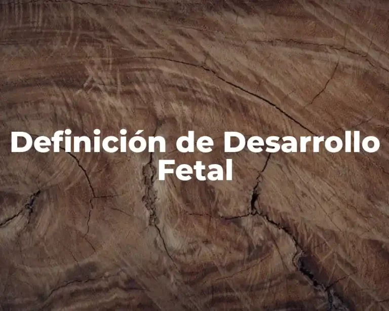 Definición de Desarrollo Fetal