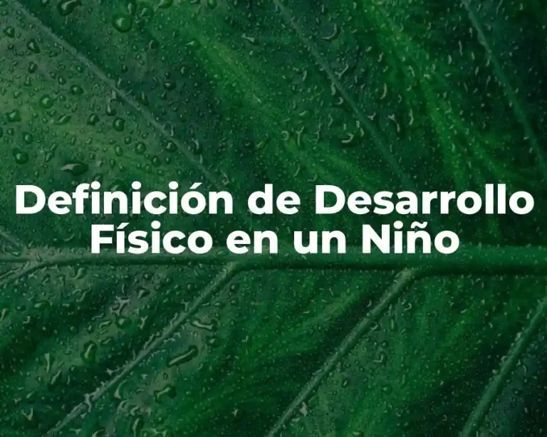 Definición de Desarrollo Físico en un Niño