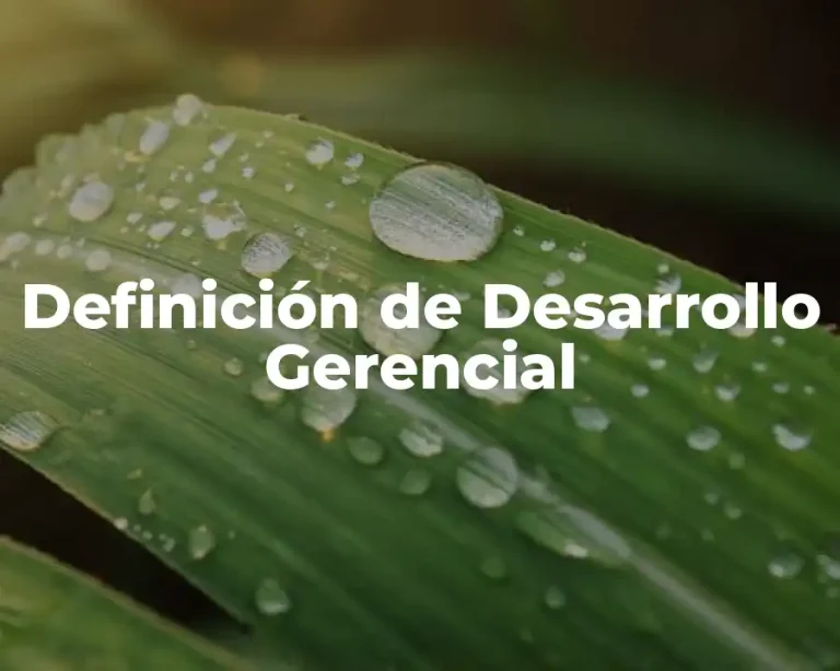 Definición de Desarrollo Gerencial