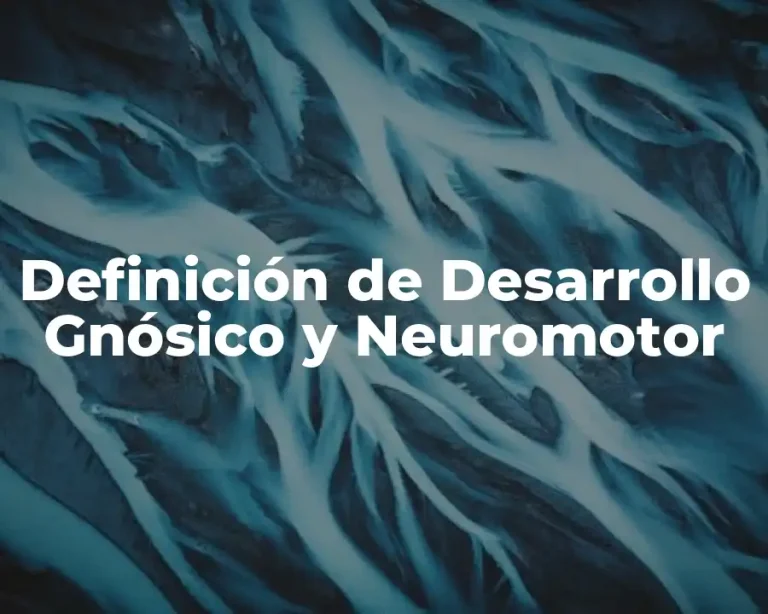 Definición de Desarrollo Gnósico y Neuromotor