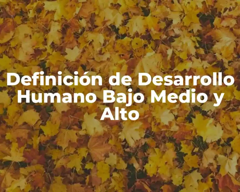 Definición de Desarrollo Humano Bajo Medio y Alto