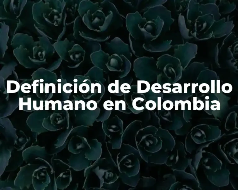 Definición de Desarrollo Humano en Colombia