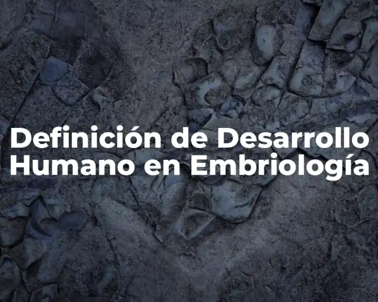 Definición de Desarrollo Humano en Embriología