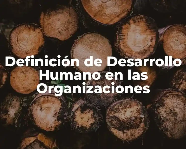 Definición de Desarrollo Humano en las Organizaciones