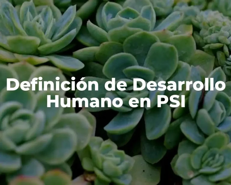 Definición de Desarrollo Humano en PSI