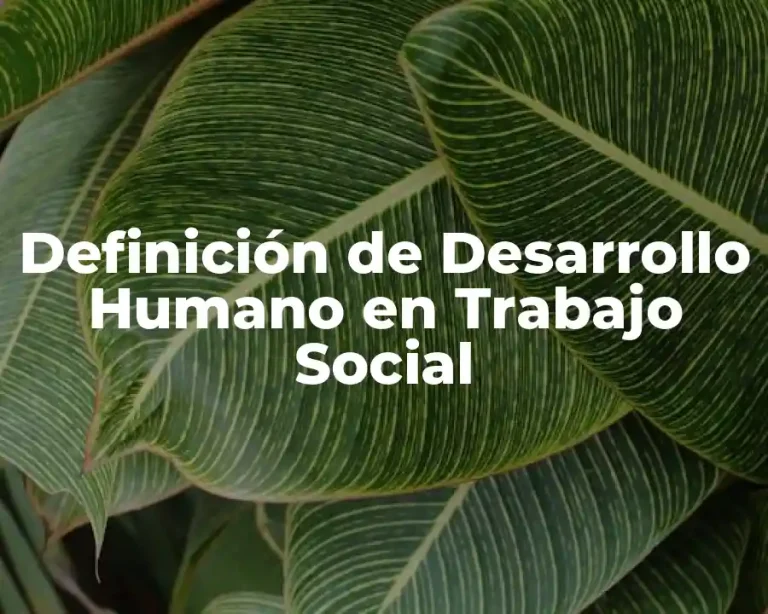 Definición de Desarrollo Humano en Trabajo Social