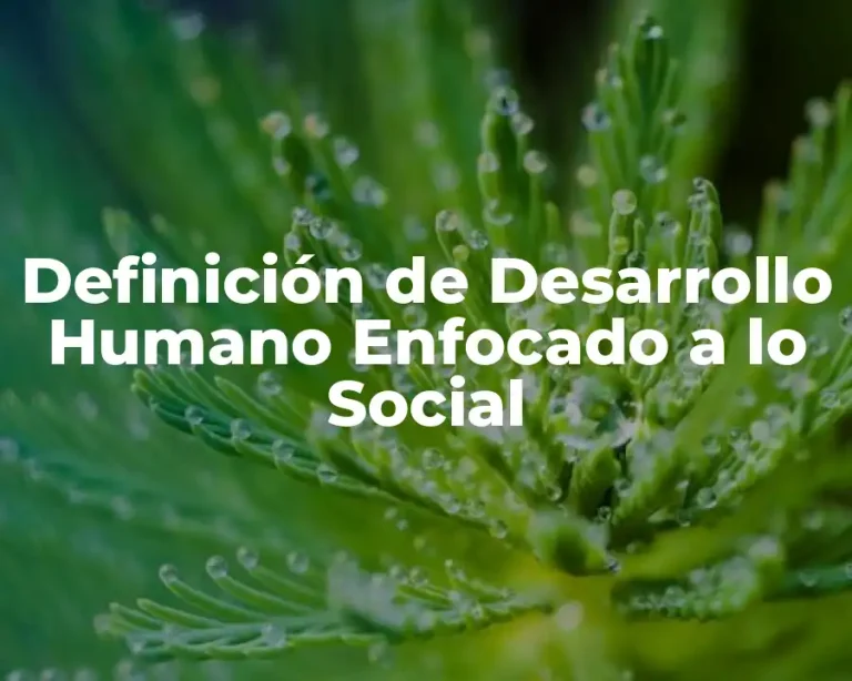 Definición de Desarrollo Humano Enfocado a lo Social