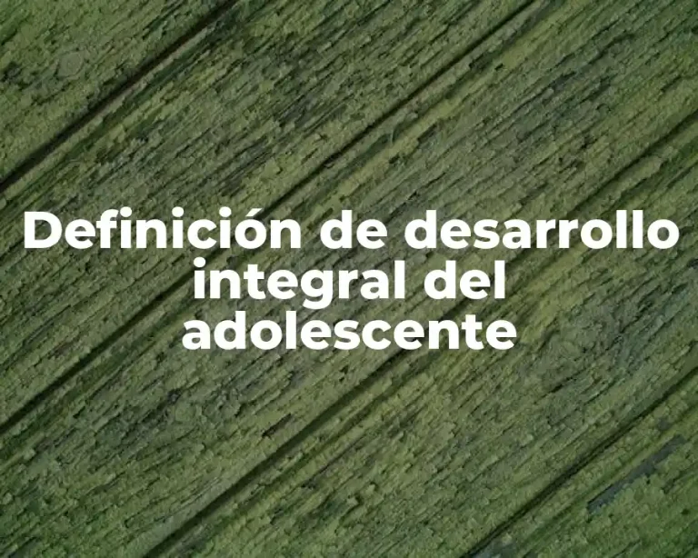 Definición de desarrollo integral del adolescente
