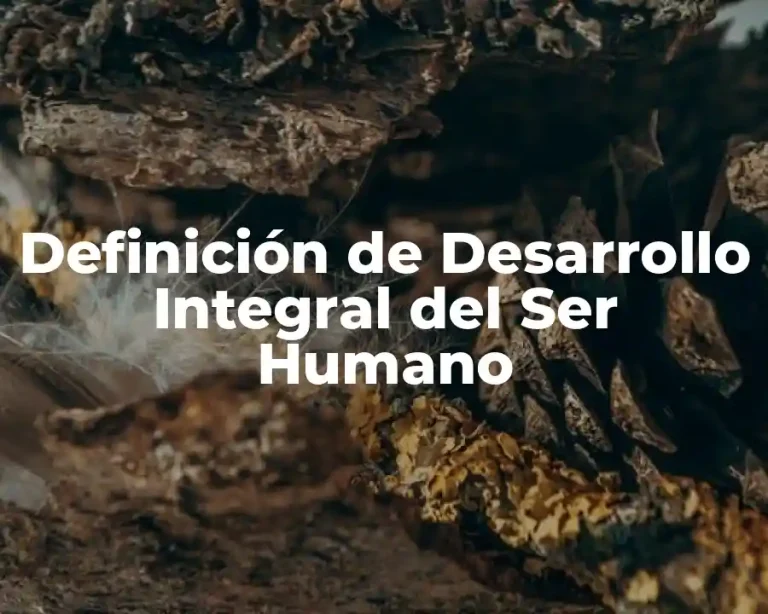 Definición de Desarrollo Integral del Ser Humano