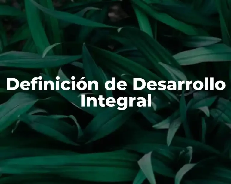 Definición de Desarrollo Integral
