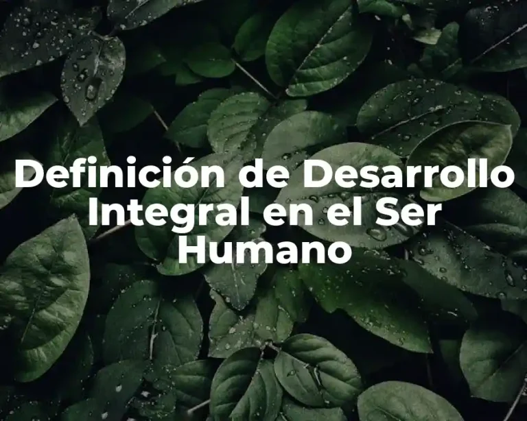 Definición de Desarrollo Integral en el Ser Humano