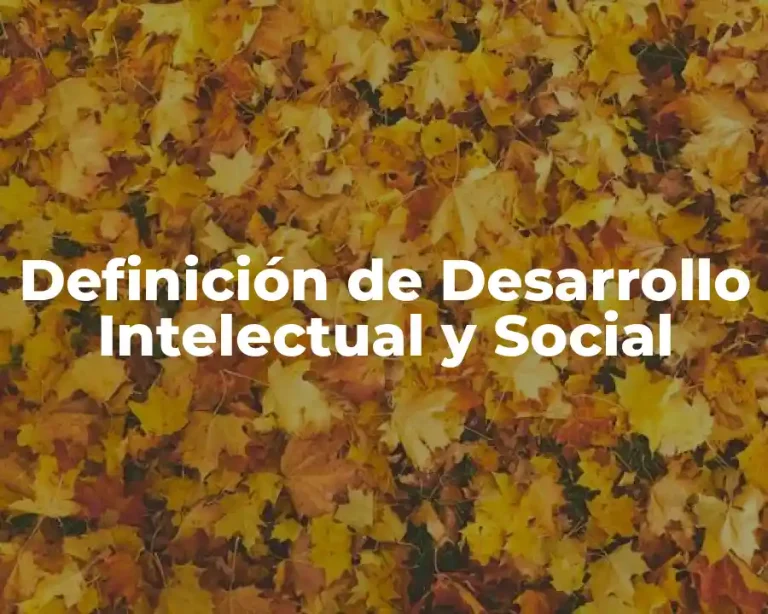 Definición de Desarrollo Intelectual y Social