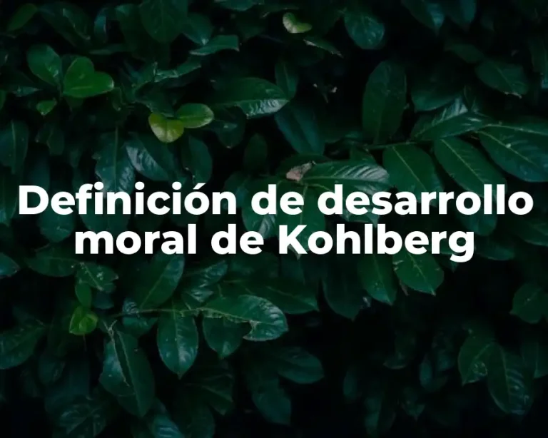 Definición de desarrollo moral de Kohlberg