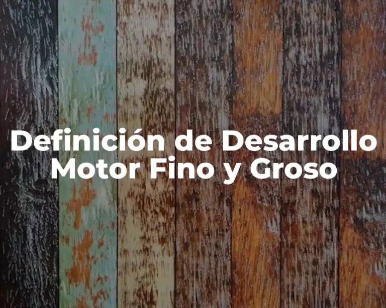 Definición de Desarrollo Motor Fino y Groso