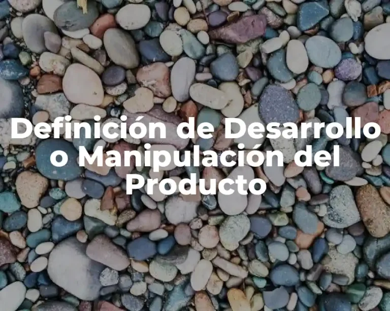 Definición de Desarrollo o Manipulación del Producto