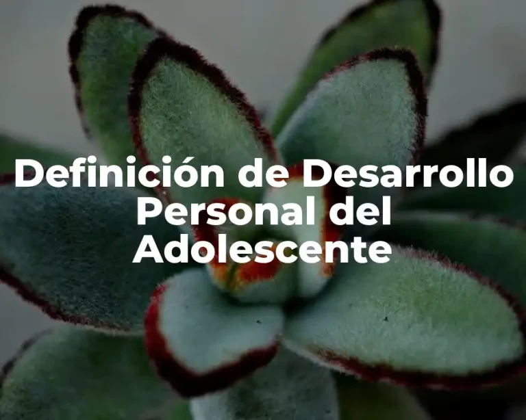 Definición de Desarrollo Personal del Adolescente