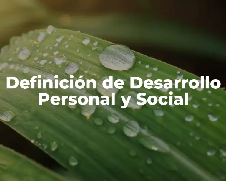 Definición de Desarrollo Personal y Social