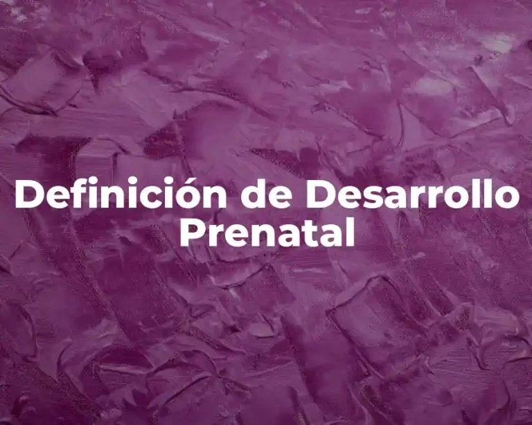 Definición de Desarrollo Prenatal