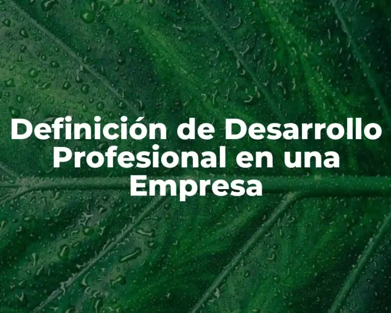 Definición de Desarrollo Profesional en una Empresa