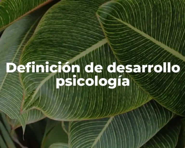 Definición de desarrollo psicología