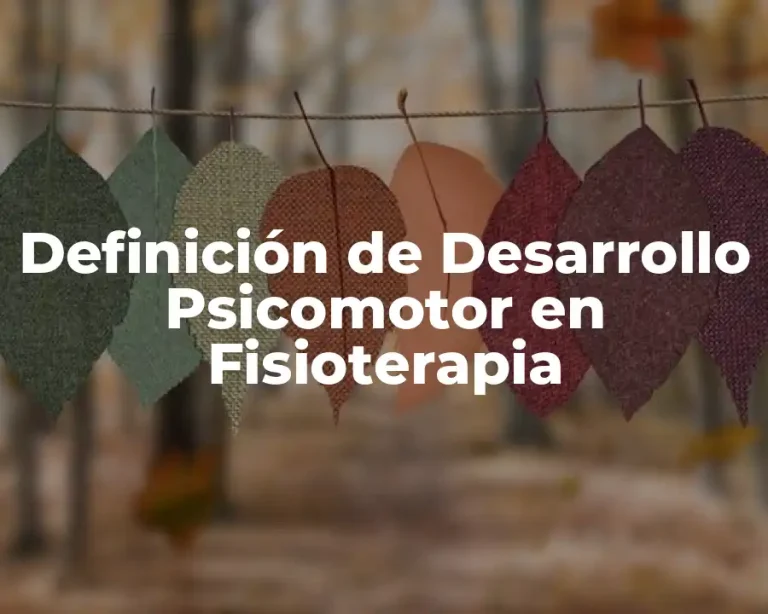 Definición de Desarrollo Psicomotor en Fisioterapia