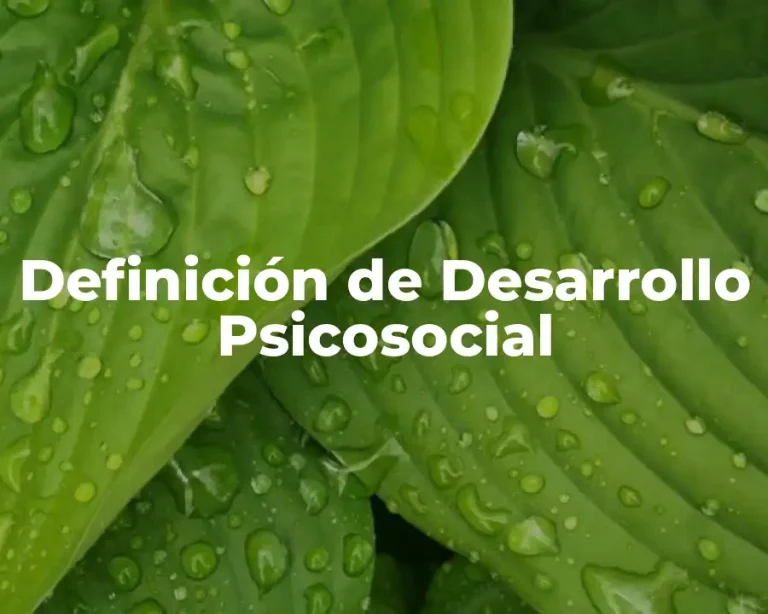 Definición de Desarrollo Psicosocial